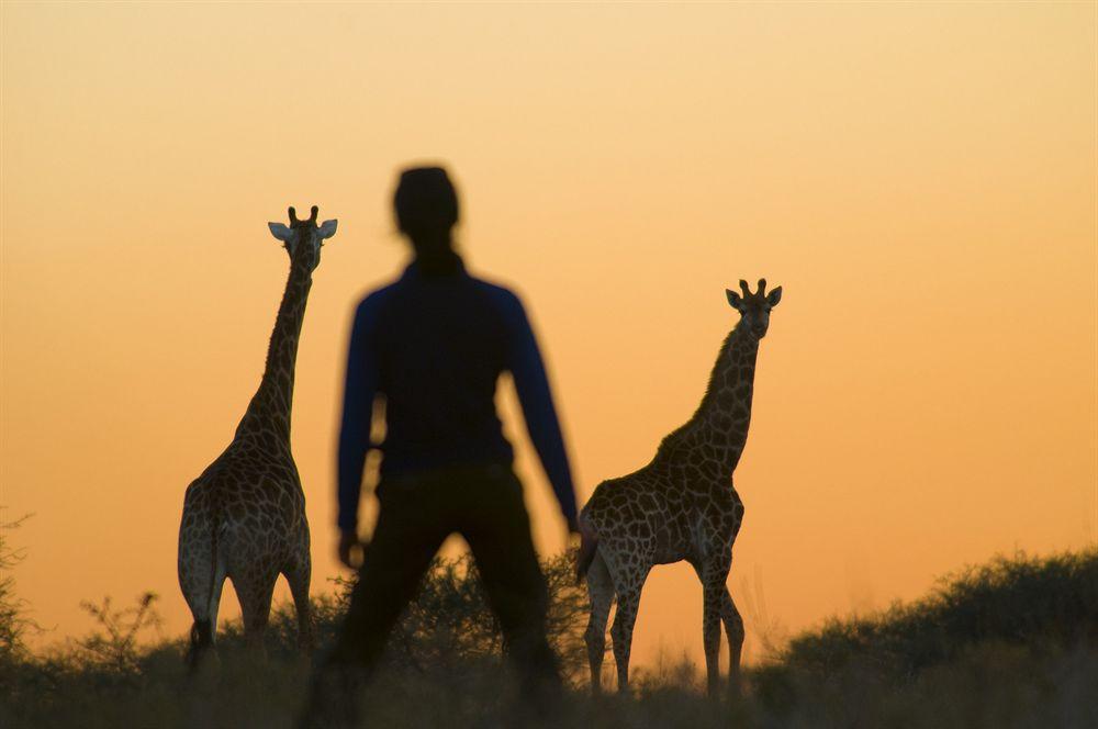 Kubu Safari Lodge Hoedspruit Ngoại thất bức ảnh